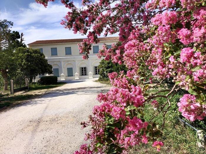Hotel Le Floreal Le Soler Εξωτερικό φωτογραφία